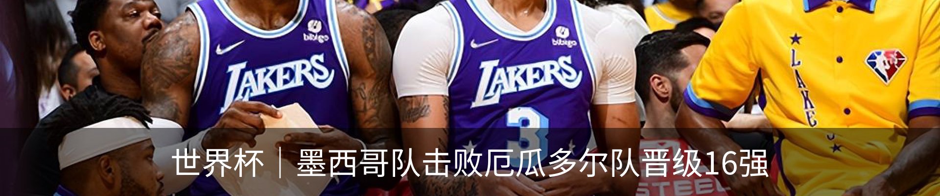 新闻动态