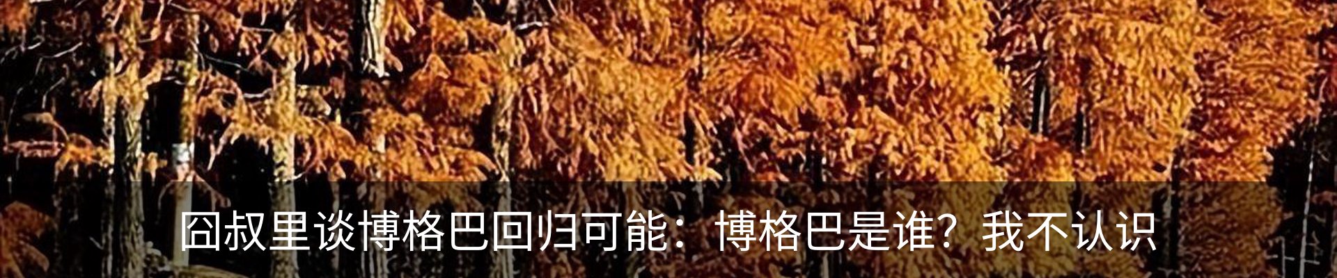新闻动态