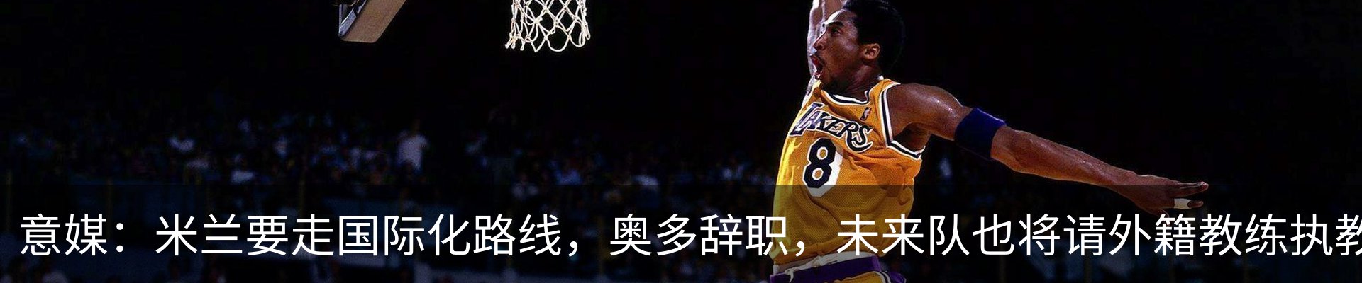 新闻动态
