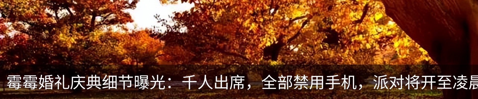 新闻动态